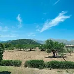 فيلة Colet Vell بويينسا